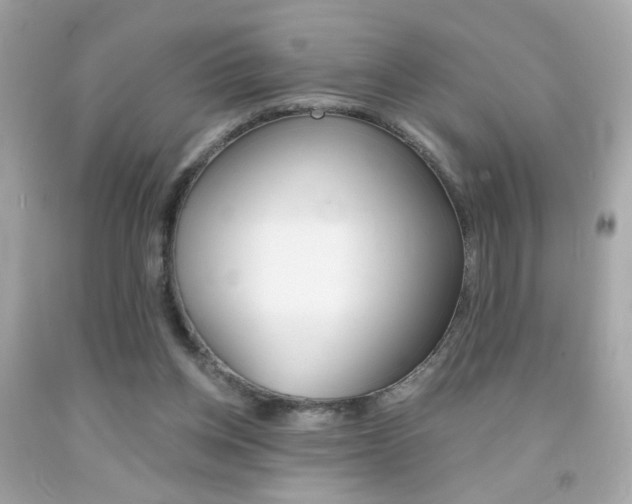 X0000092080158200709121113