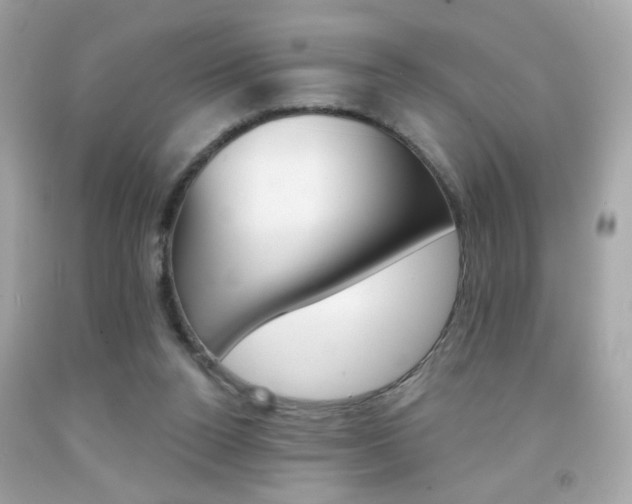 X0000092080160200709121113