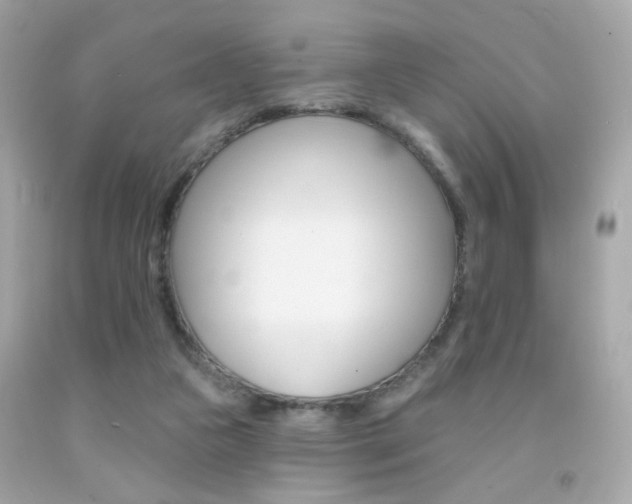 X0000092080161200709121113