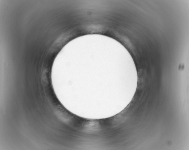 X0000092080162200709121113