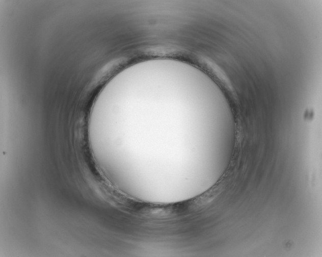 X0000092080163200709121113