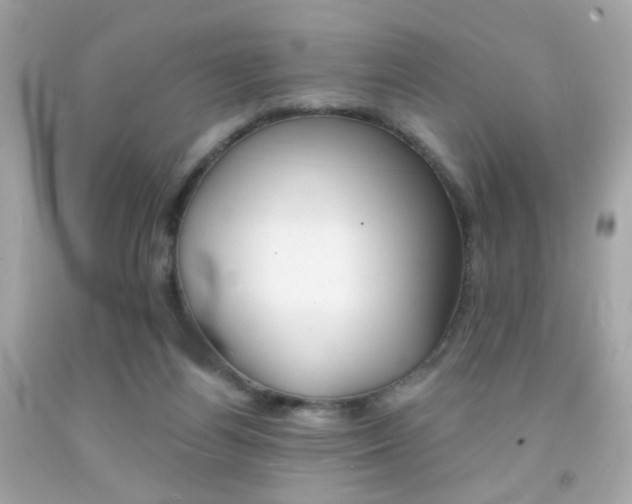 X0000092080164200709121113