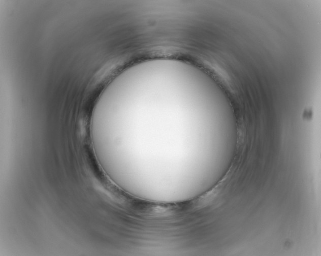 X0000092080166200709121113