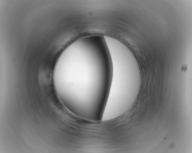X0000092080168200709121113