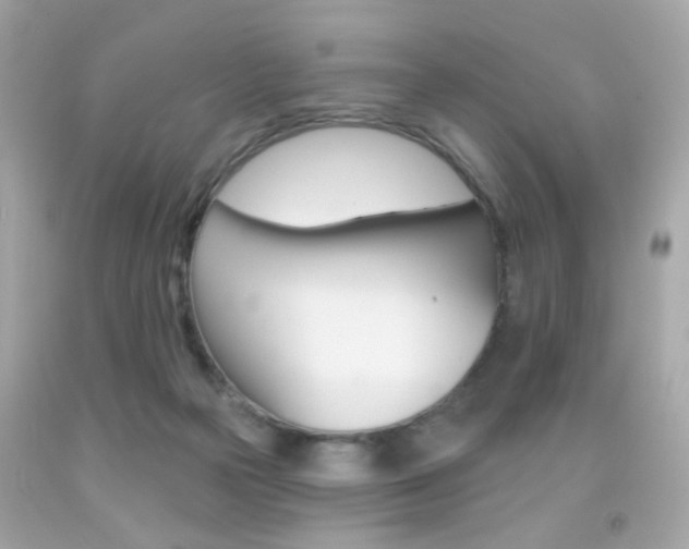 X0000092080169200709121113