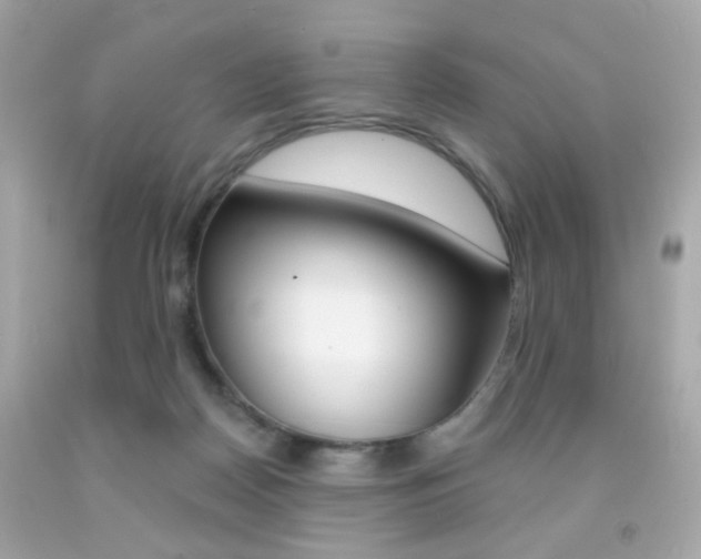 X0000092080170200709121113