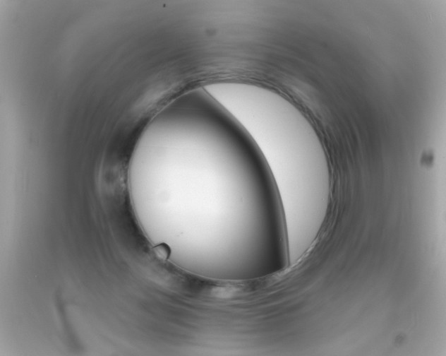 X0000092080172200709121113