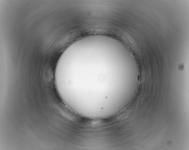 X0000092080173200709121113