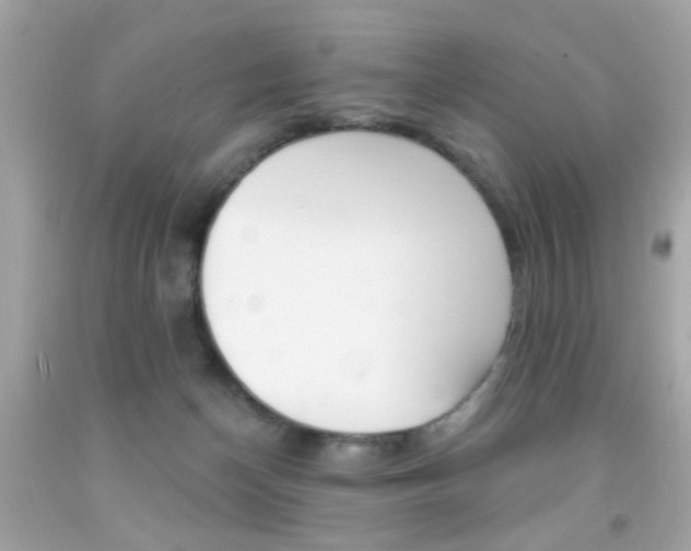 X0000092080174200709121113