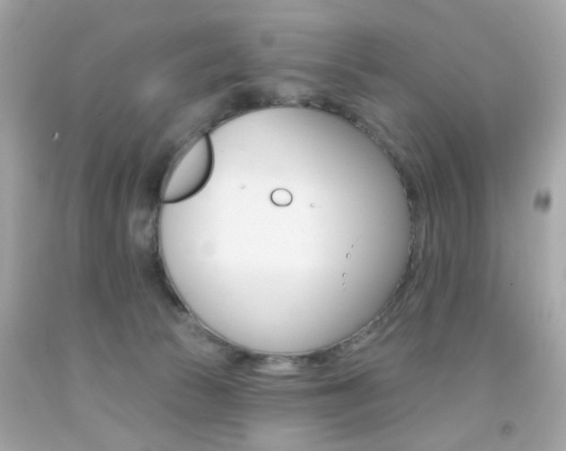 X0000092080177200709121113