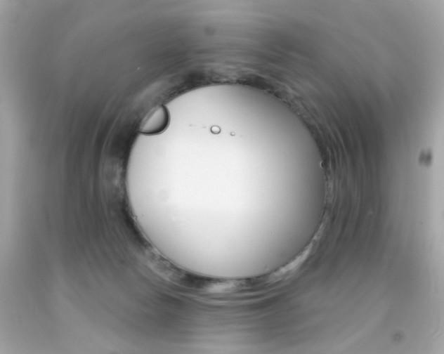 X0000092080178200709121113
