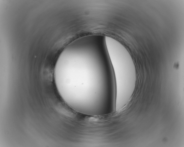 X0000092080180200709121113
