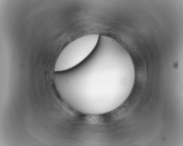 X0000092080181200709121113