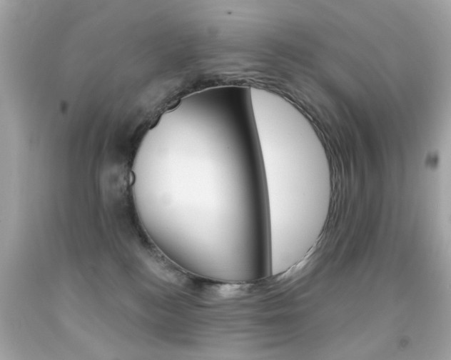 X0000092080184200709121113