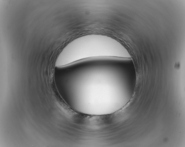X0000092080186200709121113
