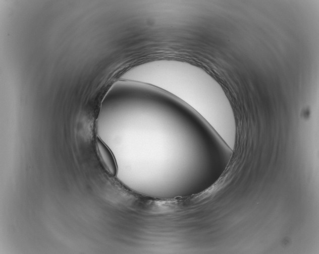 X0000092080188200709121113