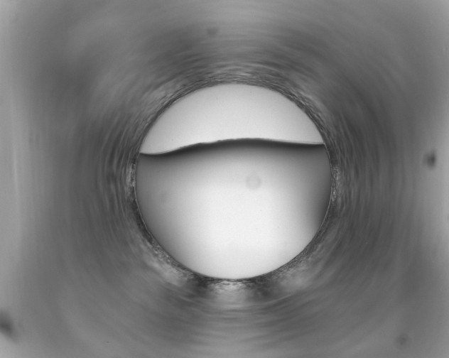 X0000092080189200709121113