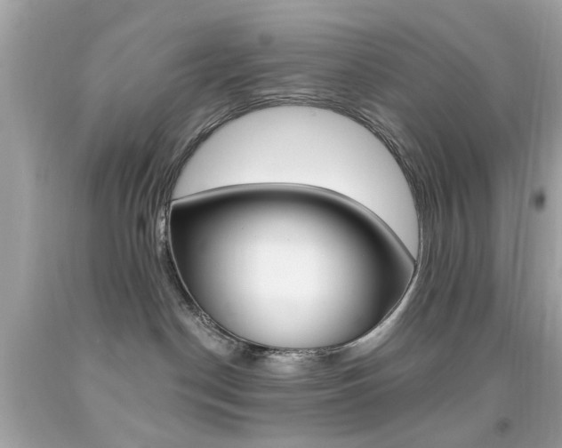X0000092080190200709121113