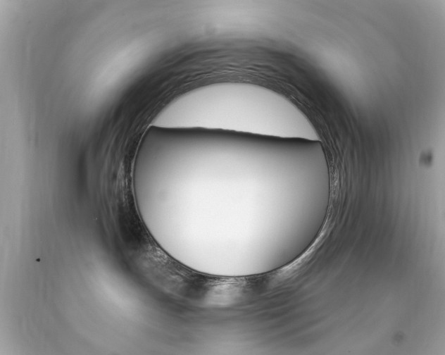 X0000092080191200709121113