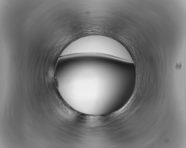 X0000092080192200709121113