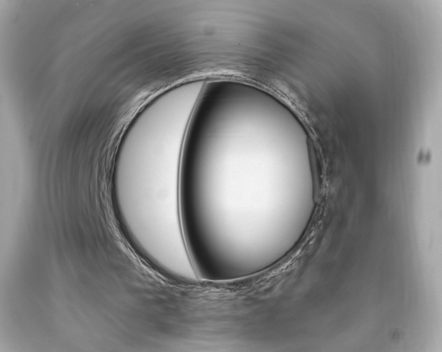 X0000092080193200709121112