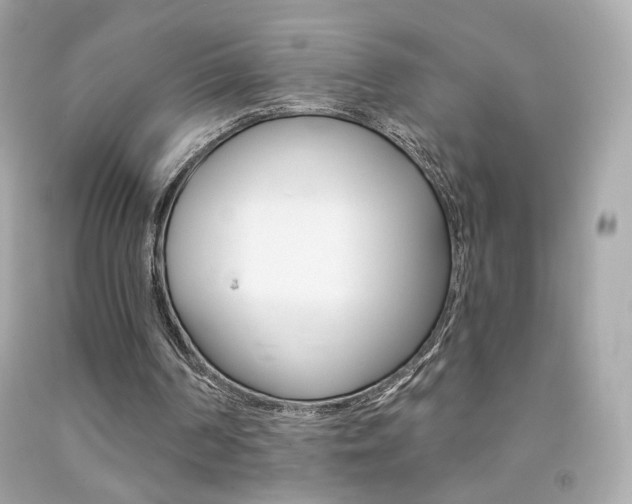 X0000092080194200709121112