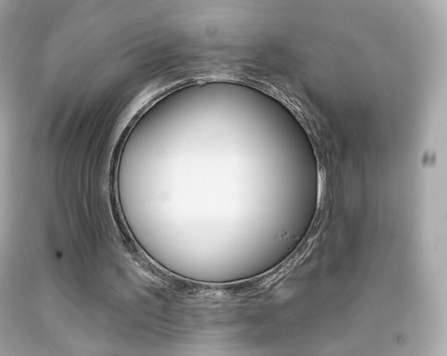 X0000092080195200709121112