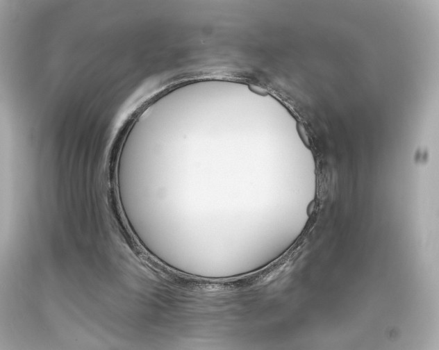 X0000092080198200709121112