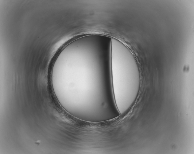 X0000092080200200709121112