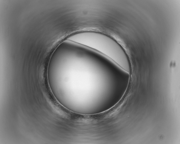 X0000092080201200709121112