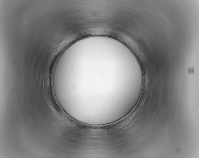 X0000092080202200709121112