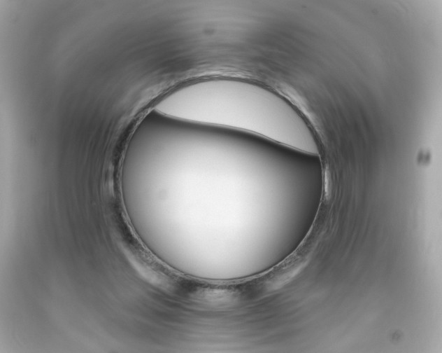 X0000092080205200709121112