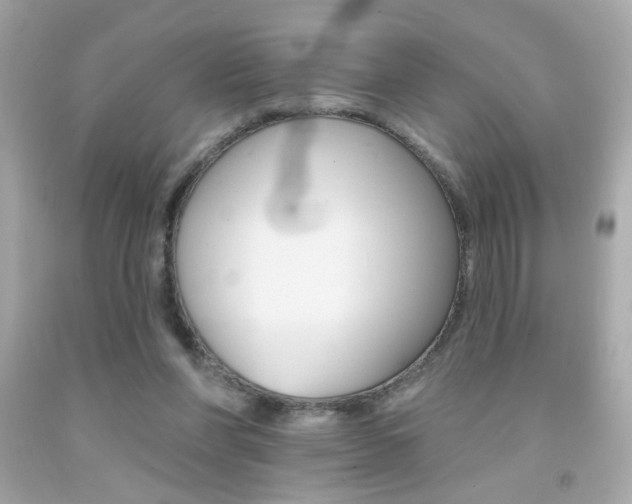X0000092080206200709121112