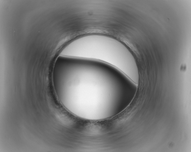 X0000092080207200709121112