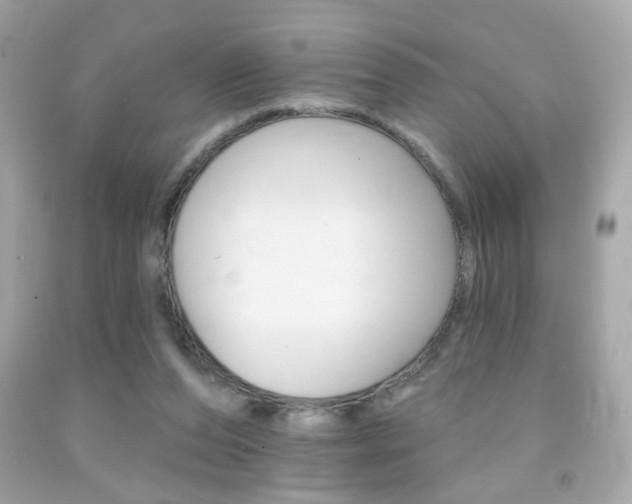 X0000092080208200709121112