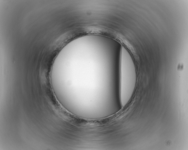 X0000092080209200709121112