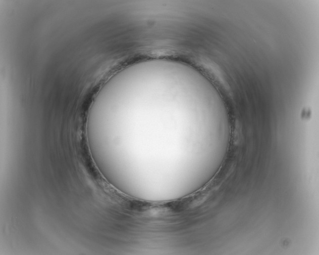 X0000092080210200709121112