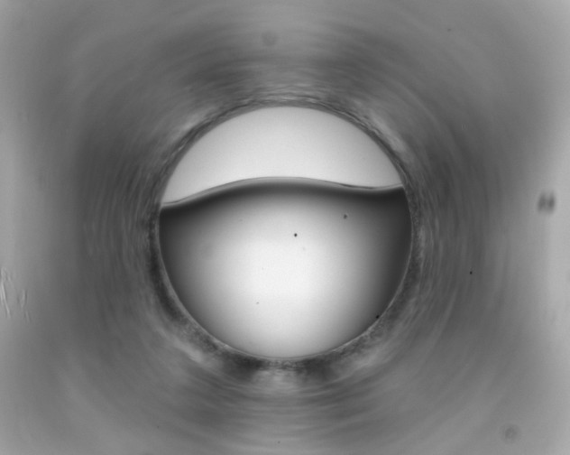 X0000092080211200709121112