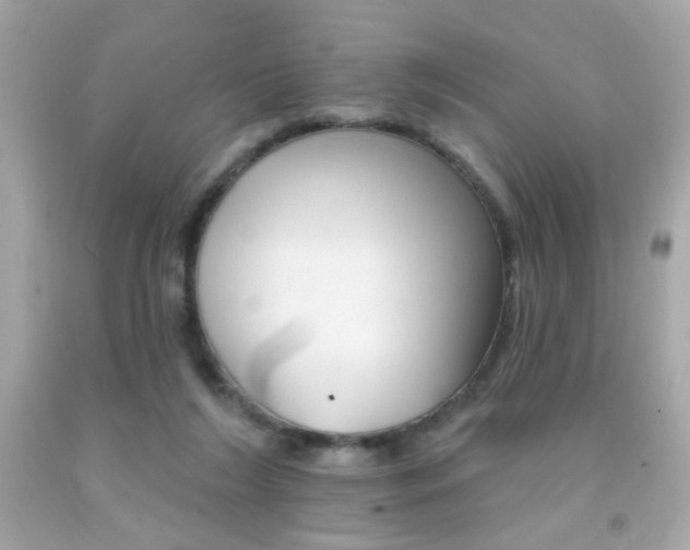 X0000092080212200709121112