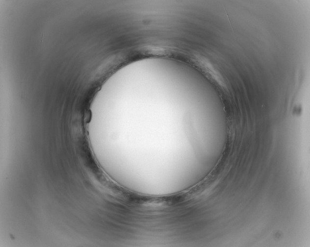 X0000092080213200709121112