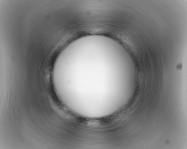 X0000092080214200709121112