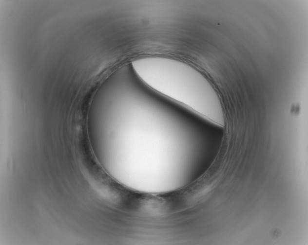 X0000092080215200709121112