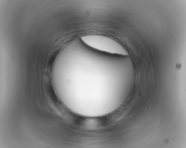 X0000092080218200709121112