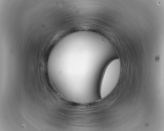 X0000092080220200709121112