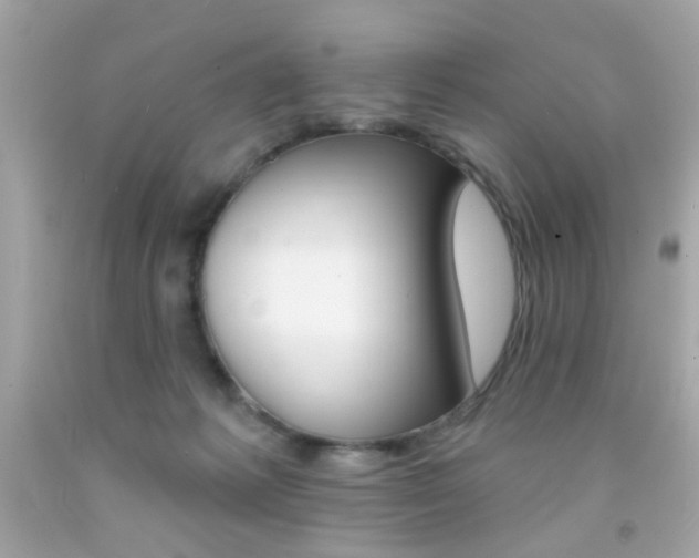 X0000092080221200709121112