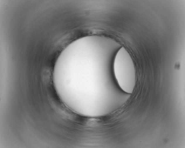 X0000092080222200709121112
