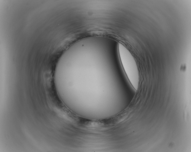 X0000092080223200709121112