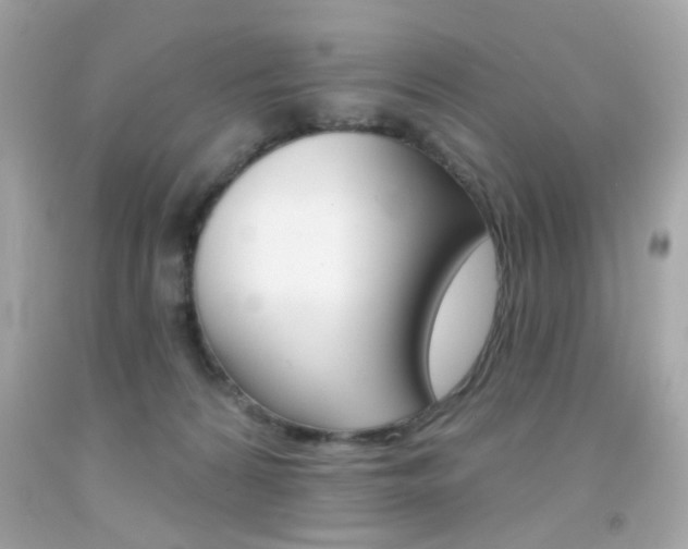 X0000092080224200709121112