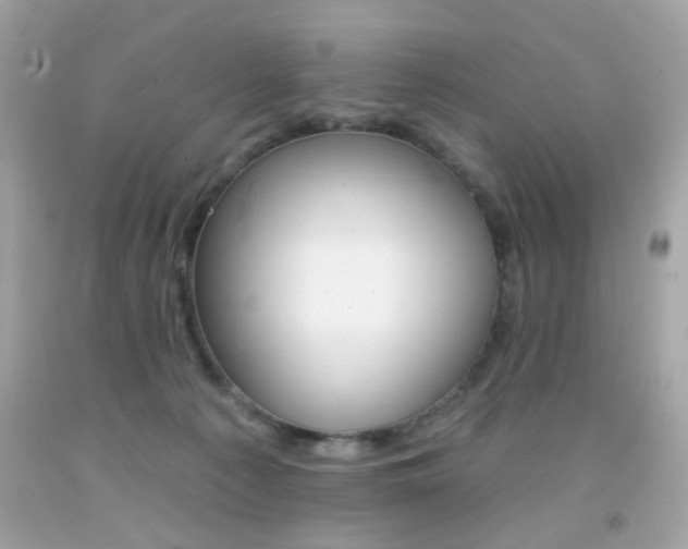 X0000092080225200709121112