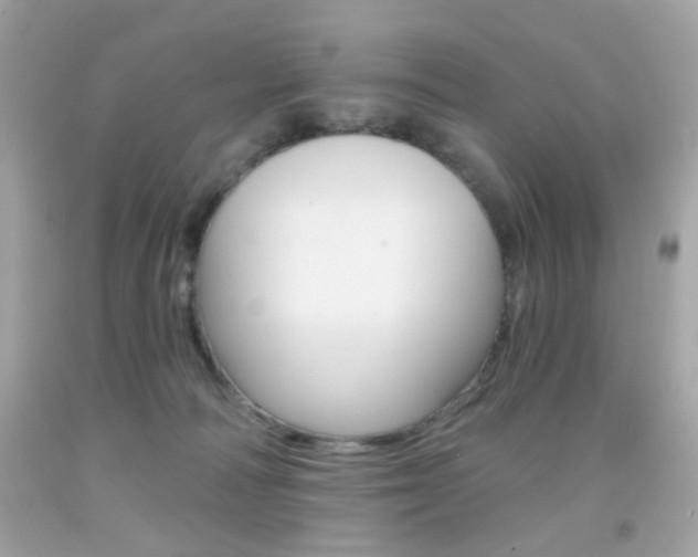 X0000092080226200709121112